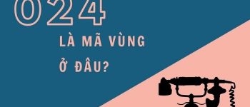 024 là mạng gì? Cách tra cứu đầu số 024