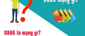 0866 là mạng gì? Có nên sử dụng SIM đầu số 0866?