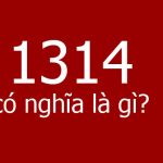 1314 là gì?