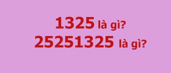 1325 là gì? 25251325 là gì?