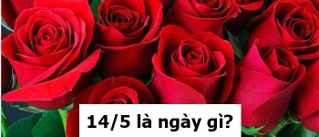 14/5 là ngày gì? Ý nghĩa của ngày Rose day