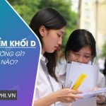 15 – 17 điểm khối D nên chọn trường gì, ngành nào?