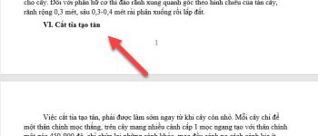 2 cách ngắt trang trong word