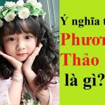 200+ Mẫu chữ ký tên Thảo đẹp, hợp phong thủy | Chữ ký tên Thảo đẹp nhất