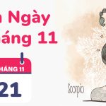 21/11 là ngày gì? Sinh ngày 21/11 thuộc cung gì?