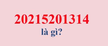 5201314 là gì? 20215201314 là gì?