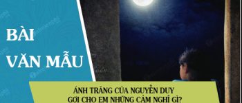 Ánh trăng của Nguyễn Duy gợi cho em những cảm nghĩ gì?