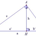 Bài tập Hệ thức lượng trong tam giác vuông có lời giải – Toán lớp 9 chuyên đề