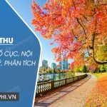 Bài thơ Sang thu của Hữu Thỉnh- tác giả, bố cục, nội dung, dàn ý, phân tích