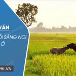 Bài văn Tả cảnh buổi sáng nơi em ở