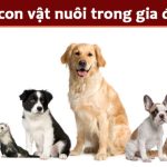 Bài văn tả con vật nuôi trong nhà lớp 4 hay nhất (40 Mẫu)