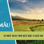 Bài văn Tả một ngày mới bắt đầu ở quê em đạt điểm cao