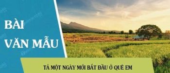 Bài văn Tả một ngày mới bắt đầu ở quê em đạt điểm cao