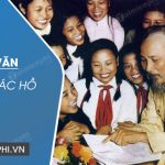 Bài văn tả về Bác Hồ