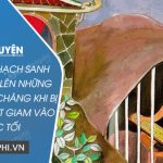 Bằng lời Thạch Sanh em hãy nói lên những tâm sự của chàng khi bị vu vạ và bắt giam vào ngục tối