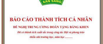 Báo cáo thành tích của Tổng phụ trách đề nghị tặng bằng khen