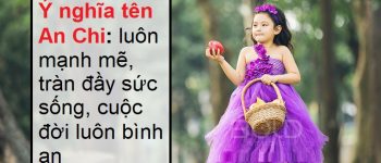 Bật mí ý nghĩa tên An Chi đảm bảo đọc xong ưng liền luôn nhé!