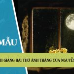 Bình giảng bài thơ Ánh trăng của Nguyễn Duy