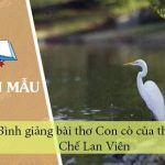 Bình giảng bài thơ Con cò của thi sĩ Chế Lan Viên