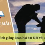 Bình giảng đoạn hai bài Nói với con