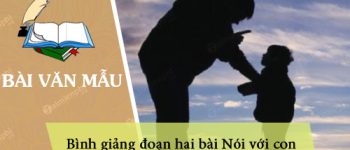 Bình giảng đoạn hai bài Nói với con