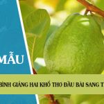 Bình giảng hai khổ thơ đầu bài Sang thu