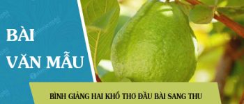 Bình giảng hai khổ thơ đầu bài Sang thu