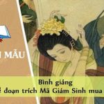 Bình giảng về đoạn trích Mã Giám Sinh mua Kiều