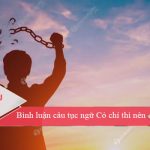 Bình luận câu tục ngữ Có chí thì nên