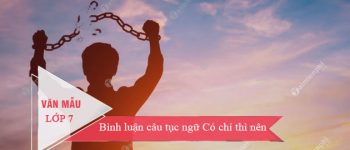 Bình luận câu tục ngữ Có chí thì nên