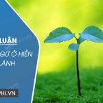 Bình luận câu tục ngữ Ở hiền gặp lành