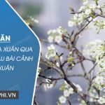 Bức họa mùa xuân qua 4 câu thơ đầu bài Cảnh ngày xuân