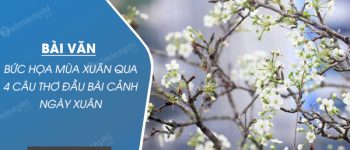 Bức họa mùa xuân qua 4 câu thơ đầu bài Cảnh ngày xuân