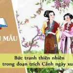 Bức tranh thiên nhiên trong đoạn trích Cảnh ngày xuân