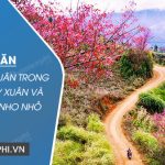 Bức tranh xuân trong Cảnh ngày xuân và Mùa xuân nho nhỏ