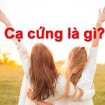 Cạ cứng là gì? Tại sao nên cần một cạ cứng?