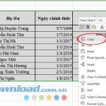 Cách chèn bảng tính Excel vào Microsoft Word