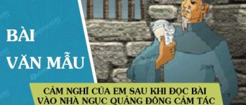 Cảm nghĩ của em sau khi đọc bài Vào nhà ngục Quảng Đông cảm tác