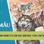 Cảm nghĩ của em sau khi đọc Con chó Bấc