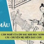 Cảm nghĩ của em sau khi học xong câu chuyện Mẹ hiền dạy con