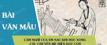 Cảm nghĩ của em sau khi học xong câu chuyện Mẹ hiền dạy con