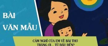 Cảm nghĩ của em về bài thơ Trăng ơi… từ đâu đến?