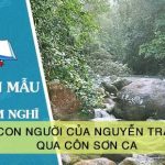 Cảm nghĩ của em về con người của Nguyễn Trãi qua Côn Sơn ca