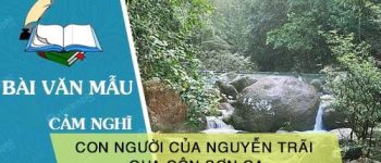 Cảm nghĩ của em về con người của Nguyễn Trãi qua Côn Sơn ca