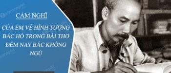 Cảm nghĩ của em về hình tượng Bác Hồ trong bài thơ Đêm nay bác không ngủ