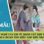 Cảm nghĩ của em về nhân vật Kim Trọng qua đoạn thơ Kiều gặp Kim Trọng