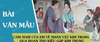 Cảm nghĩ của em về nhân vật Kim Trọng qua đoạn thơ Kiều gặp Kim Trọng