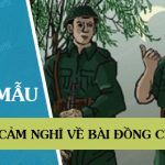 Cảm nghĩ về bài Đồng chí của Chính Hữu