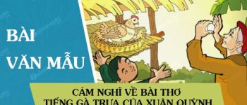 Cảm nghĩ về bài thơ Tiếng gà trưa của Xuân Quỳnh