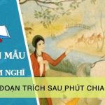 Cảm nghĩ về đoạn trích Sau phút chia li